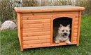 Flat Roof Dog House Niko