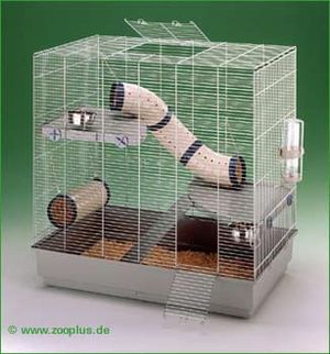 jenny rat cage