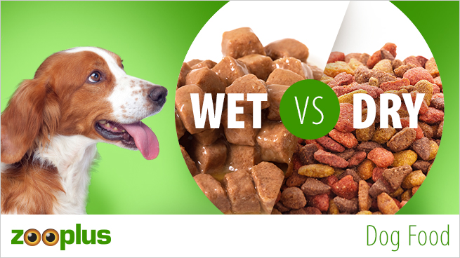 best wet food for small dogs