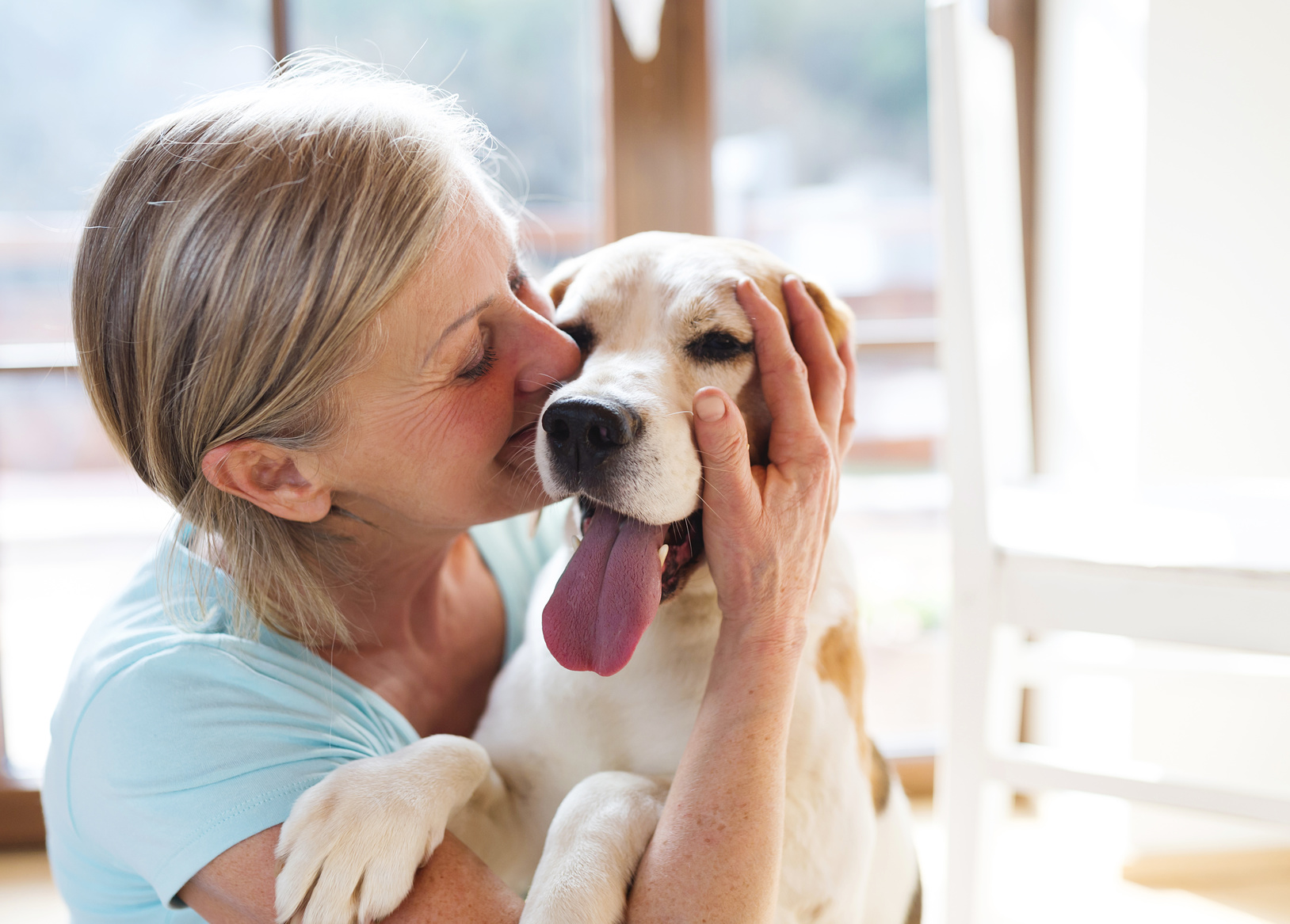 happy dog in house cuddles