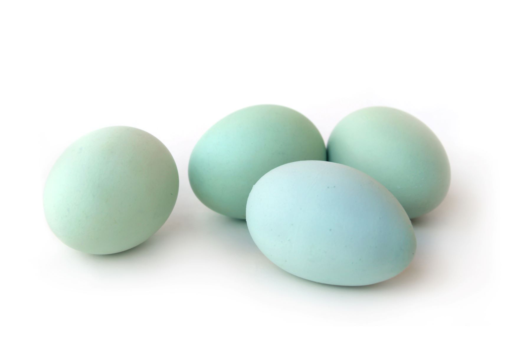 Blue Araucauna chicken eggs