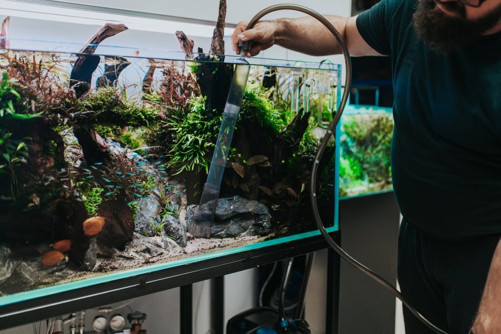 person performing water change on aquarium tank