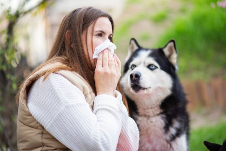 Dog Allergies in Humans