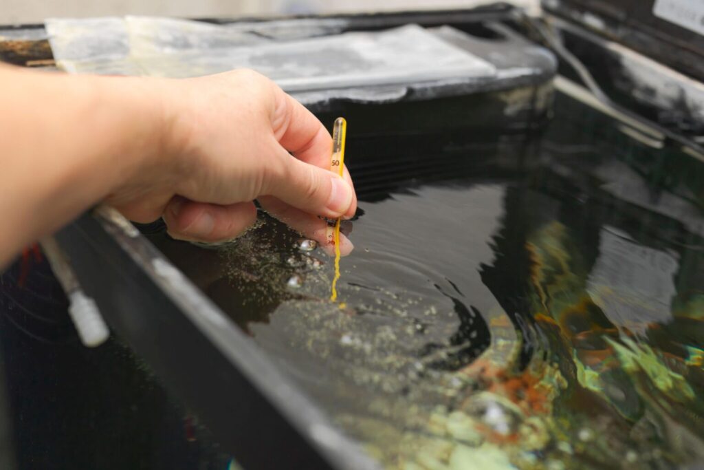 aquarium temperature being checked with thermometer.