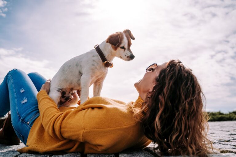 A beautiful little dog sitting on its owner looking at her face. The woman is lying down in the park in a sunny day in Madrid. Family dog outdoor lifestyle