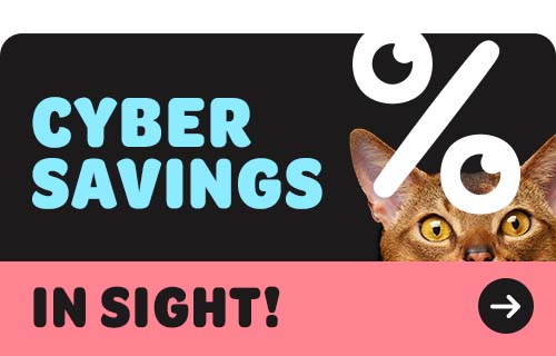 UK cyber savings magazine