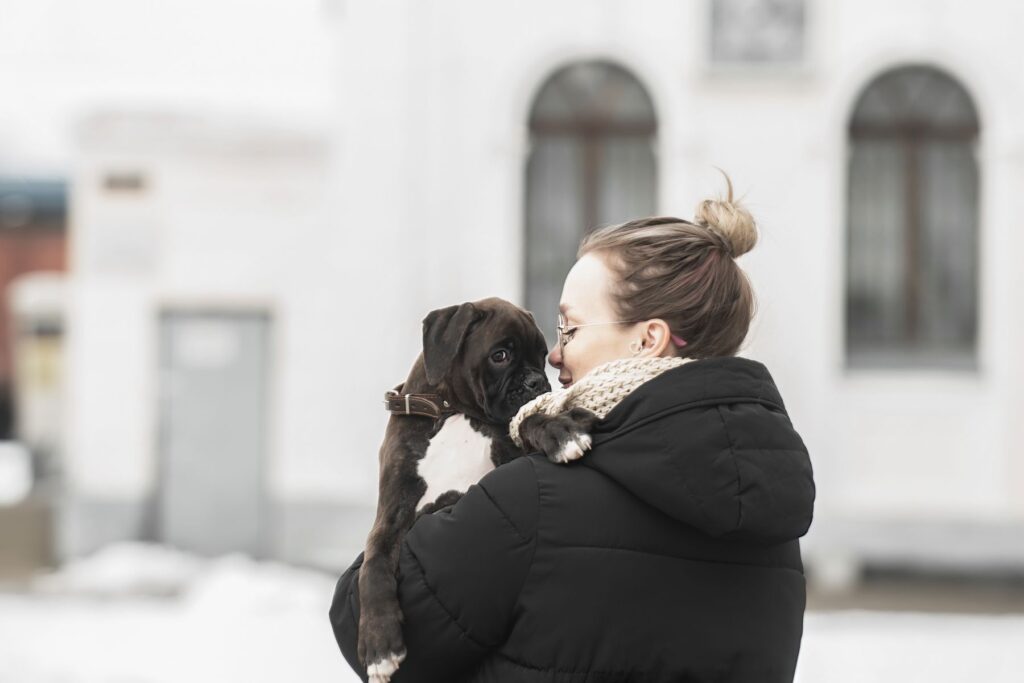 In the arms of a young woman, her beloved German boxer puppy, she pressed him to her for a walk in the winter season. The concept of love and trust between people and dogs