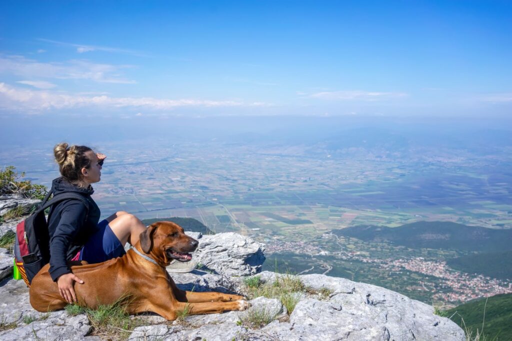 Girl with a Rhodesian ridgeback dog in the mountains. summer mood. Traveling with a pet. Love animals love my pet