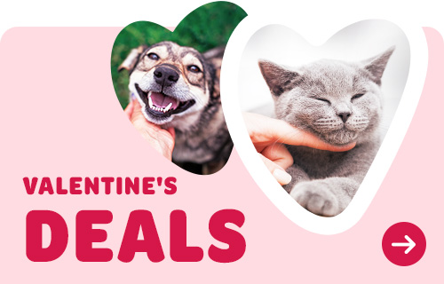 valentines deals